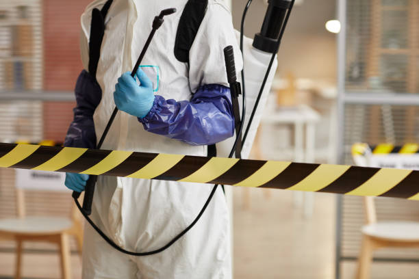 Professional Hoarding Cleanup technician working in Temple, TX